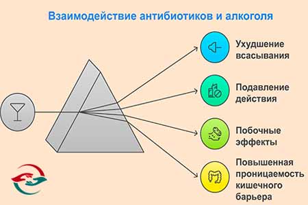 Рисунок о взаимодействии алкоголя и антибиотиков