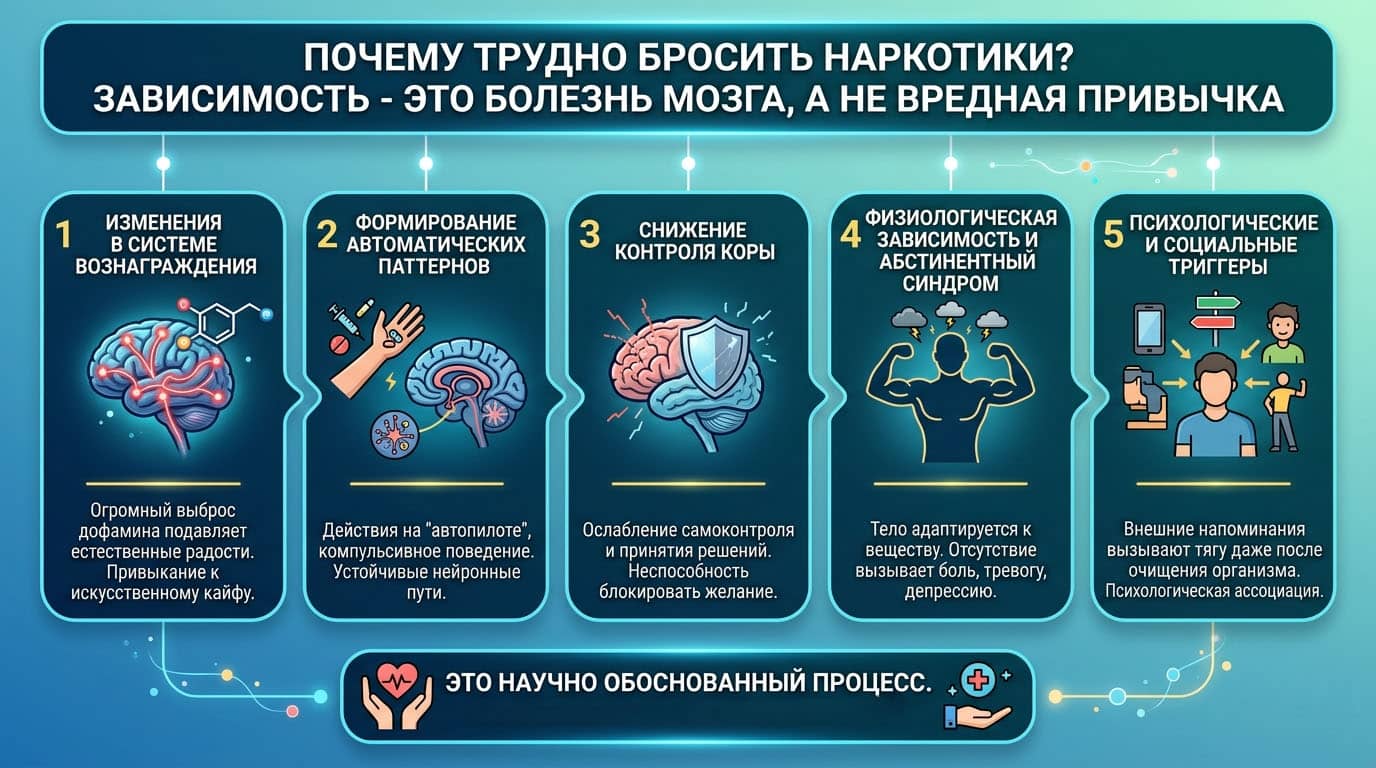 Инфографика: Почему трудно бросить наркотики